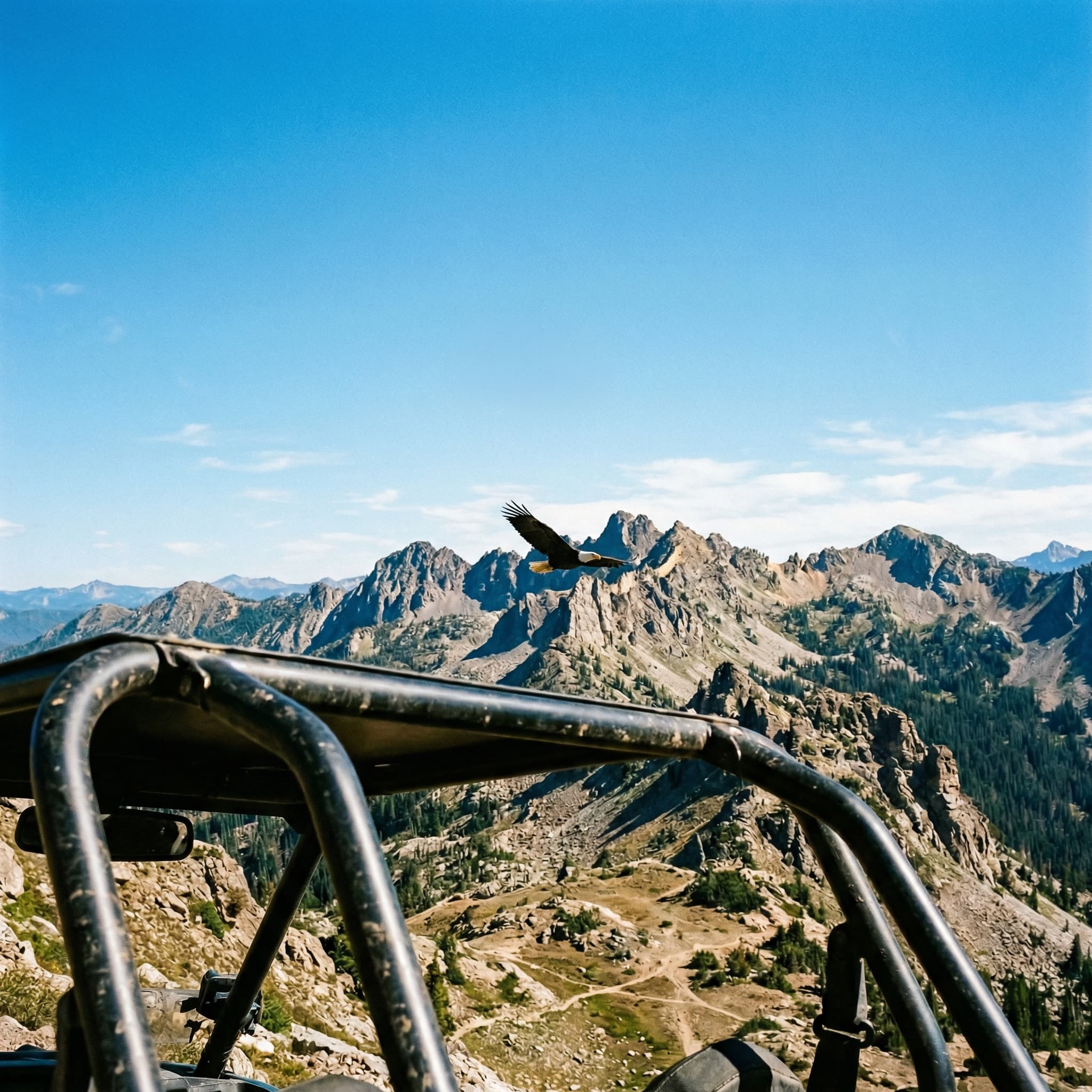 Private vs Individual ATV Tours: What's Best for You?