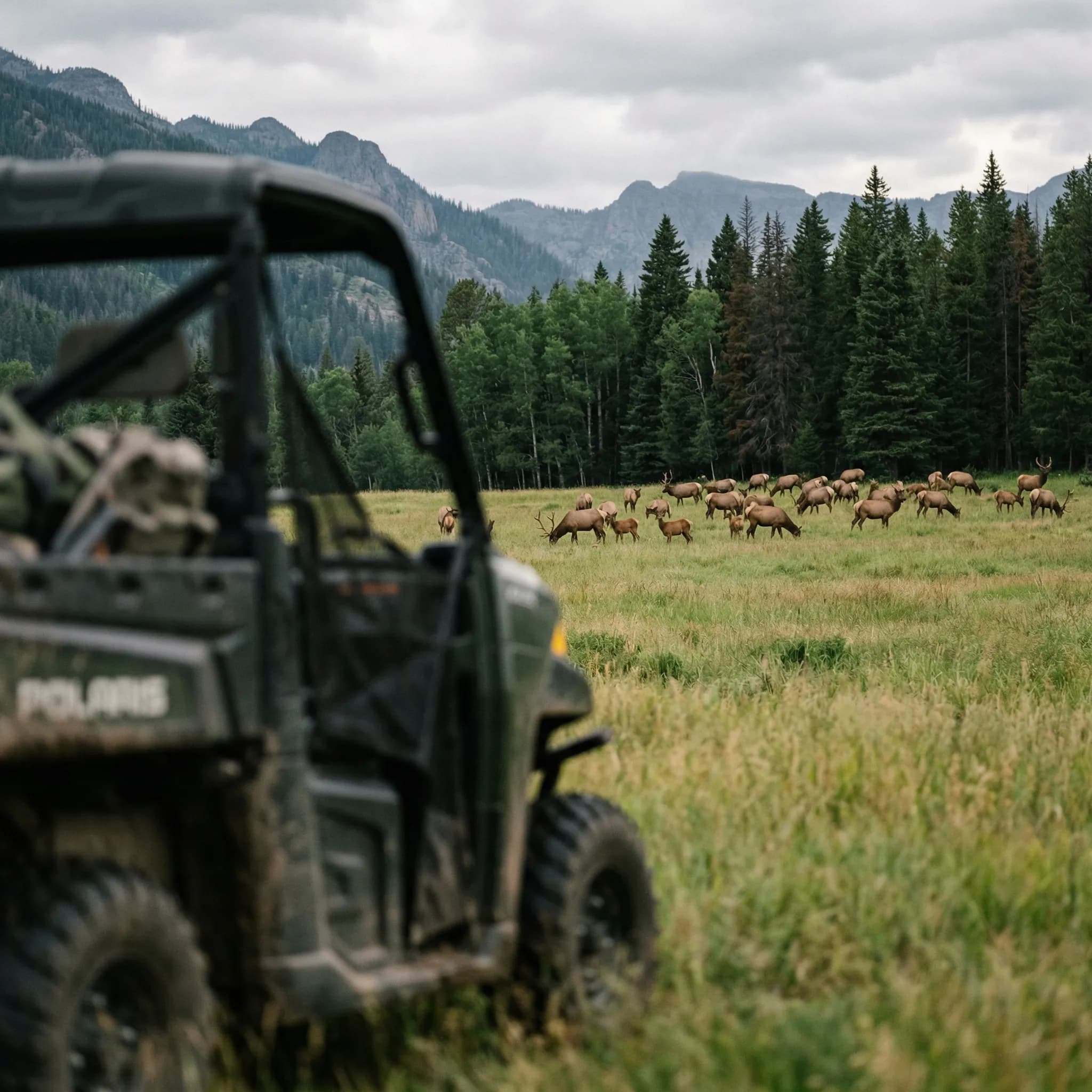 Electric vs Traditional ATV Tours: Why Modern Electric Is Better for Yellowstone
