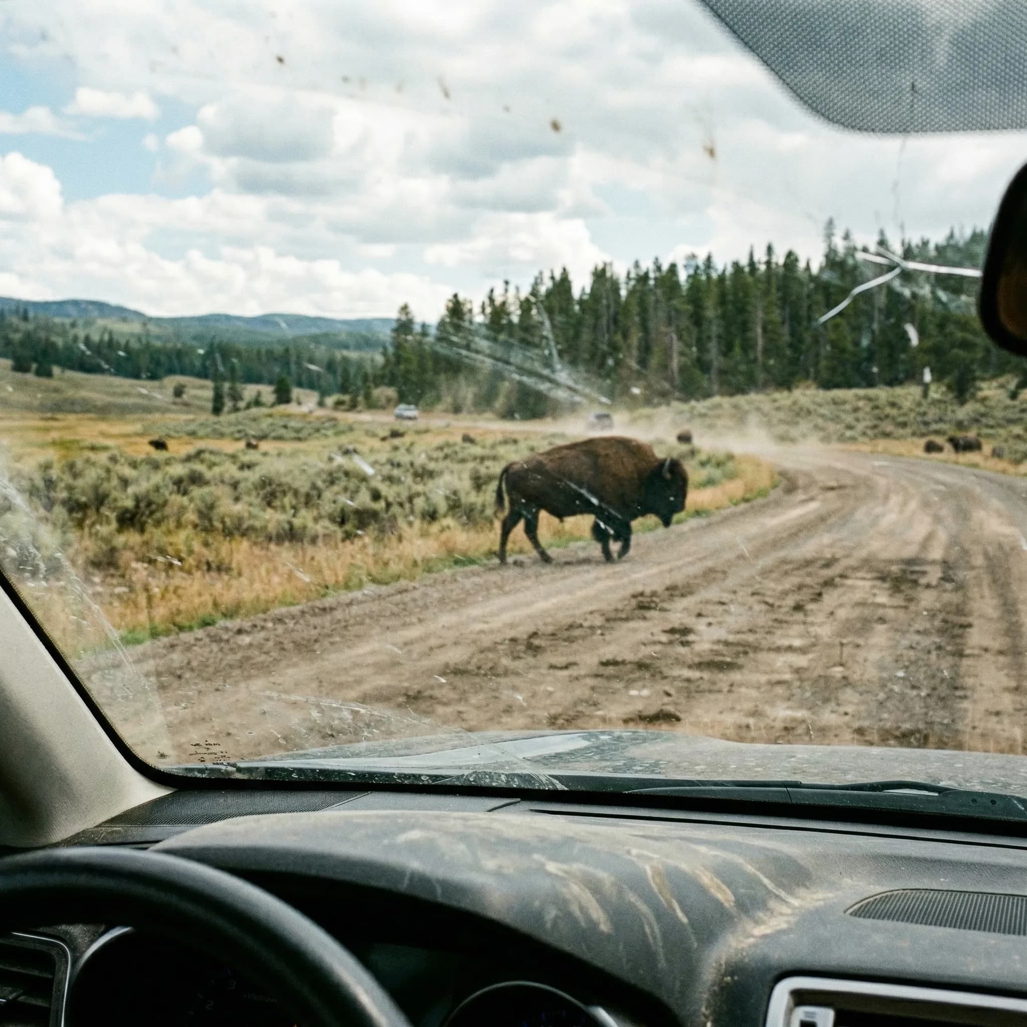 The Perfect 3-Day Yellowstone Itinerary